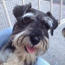 Ramiro Mesa - @RamiMesa - Twitter