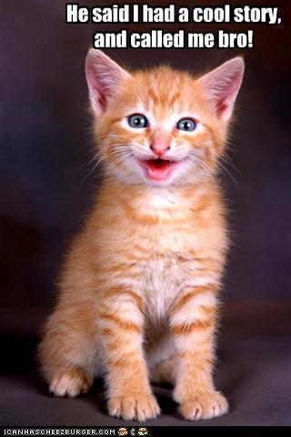 totallywadies's profile picture. Just about everything geeky.  Road warrior.  Wants this to be a haiku.