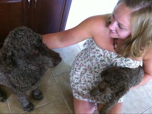 swerner98's profile picture. 