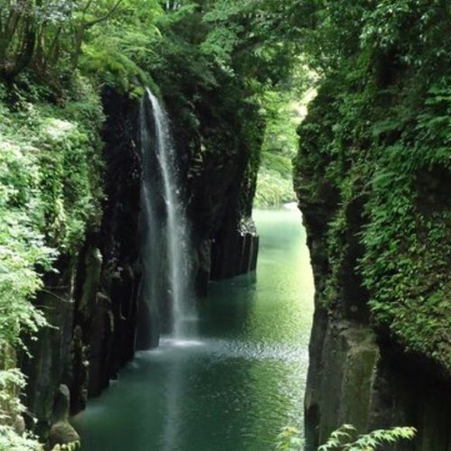 cm5jboys's profile picture. 