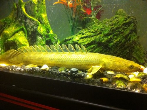 DGprinters's profile picture. 