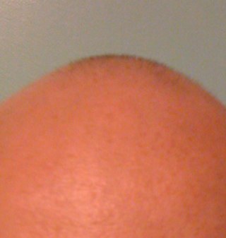 RyanBurrows2's profile picture. 