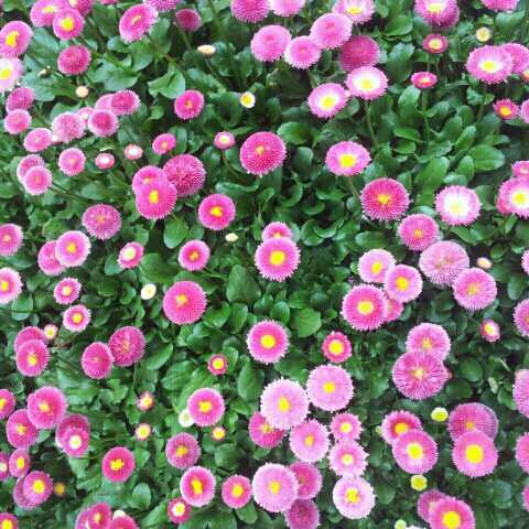 khc6511's profile picture. 