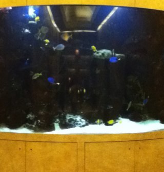 StevioC's profile picture. Hi