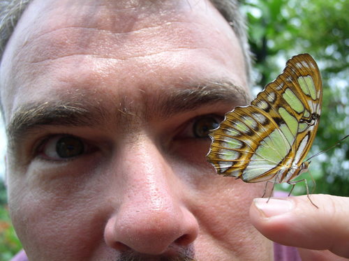 MichaelDeWitt1's profile picture. 