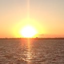 Patrick White - @whitey2373 - Twitter