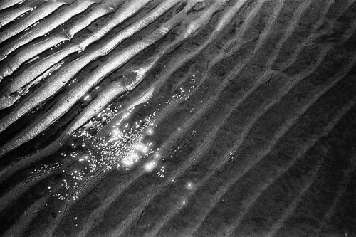 tripleofs's profile picture. http://t.co/Pj6jpBWN0U