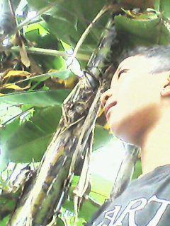 Yang twiit ni udah ga kepake. Sekarang follow ajah yg @syahrial_20 jumens kalo mw di follbeck
