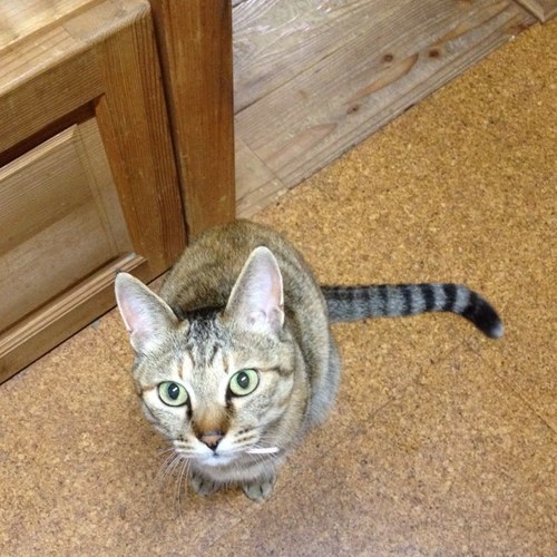 chiechie1210's profile picture. 東方神起大好き💕ユノよりホミンペン 😊2人からの東方神起ペンです 兵役後から本格ペン活始動ビギスト8年目になりました😆✨ スジュ 兄さん💙NCTも箱推ししてます❤️