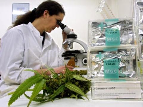 passdrugtest7's profile picture. http://t.co/SH6lOogscX 
http://t.co/CEYx73FcCa