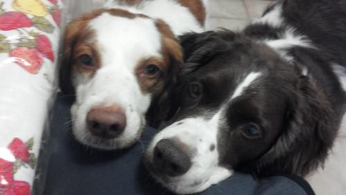 Marcela_MA516's profile picture. 