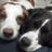 Marcela_MA516's profile image