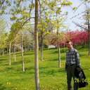 MEHMET AKYOL (@1959AKYOL) Twitter