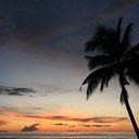 Anne Dart - @anned8130 - Twitter