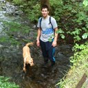 shaun flaherty - @shaunflaherty83 - Twitter