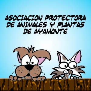 Asoc. Protectora Animales de Ayamonte: Finalidad: denunciar el maltrato y abandono animal, rescatarlos,cuidarlos y buscales familia. Hazte voluntario y/o socio.