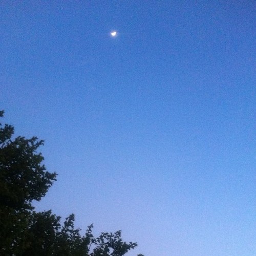 aboutheweather's profile picture. 