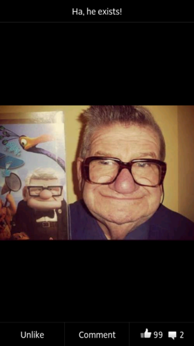 gingergibbon1's profile picture. 