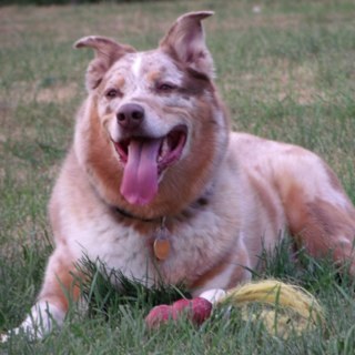 DwinnellKim's profile picture. 