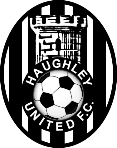 HaughleyUtdFC's profile picture. Haughley United play in the Touchline SIL in Suffolk. Bob Coleman Cup Runners Up 14/15 & 15/16 & Suffolk Senior Cup Runners Up 15/16