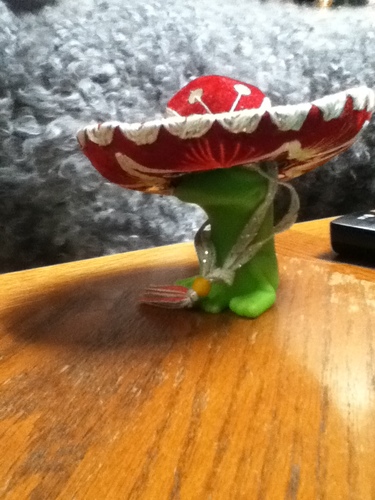 I'm a frog. How cool is that?! What more can you want?!