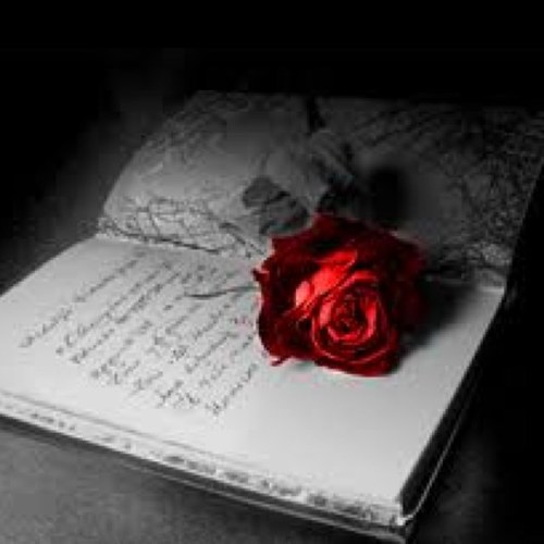 Amoona_b's profile picture. الرياضيات لغة لايجيدها إلا من وقع في فخ حُبّها math teacher