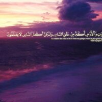 Jad Abou 'Omar (@jadabouomar) 's Twitter Profile