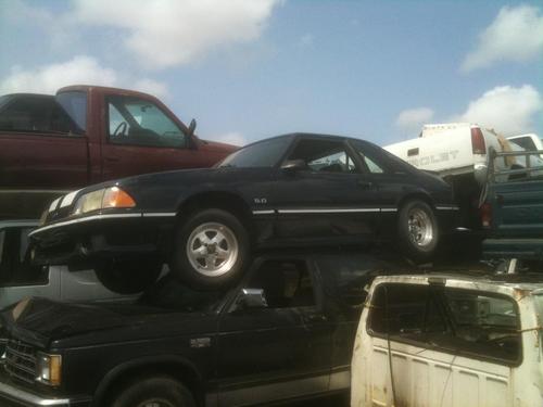 FloridaJunkCar's profile picture. Selling your junk car has never been easier…  We pay top dollar and pay in cash on the spot.