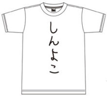 syoutaLv13's profile picture. 