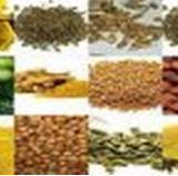A Celebration of Real Vietnamese Recipes, Cuisine and Delicacies online.