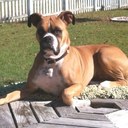 Jaime Caldwell - @jjcald2554 - Twitter