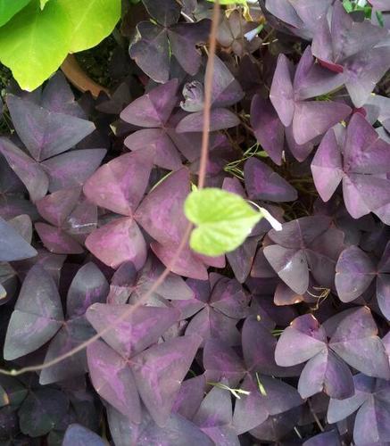 nabinalda11's profile picture. 나도 나를 모르겠다. 나를 찾고 있는 중...! 마음에 등불 하나 걸어둔다♡