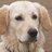 PatxiPhoto's profile image