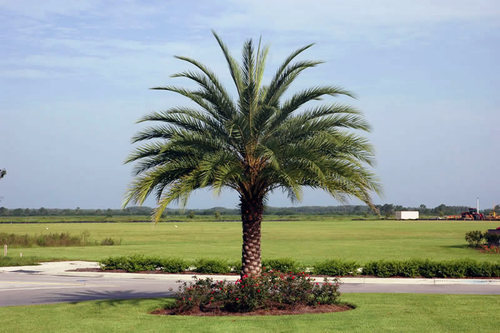 Samalaliwi's profile picture. ‏‏‏ﻗﻴﻞ ﻟﻠﻤﺄﻣﻮﻥ ﻣﺎ ﺃﻟﺬ ﺍﻷ‌ﺷﻴﺎﺀ  ؟  ﻗﺎﻝ :  ﺍﻟﺘﻨﺰﻩ ﻓﻲ ﻋﻘﻮﻝ ﺍﻟﻨﺎﺱ .