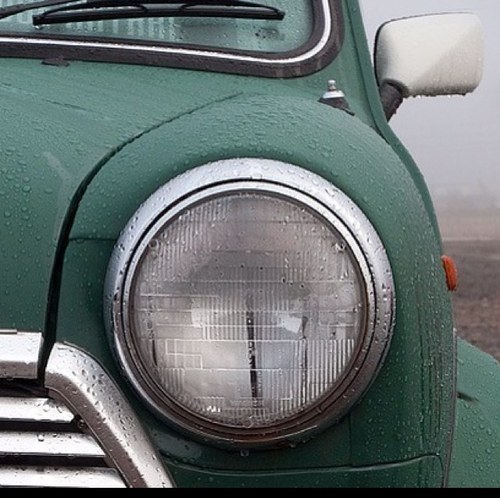 hooraysamari's profile picture. 반갑습니다~