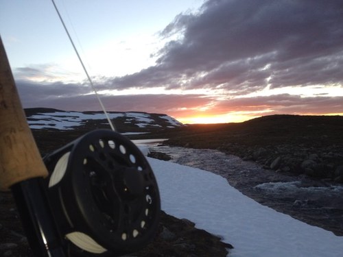 lararet's profile picture. GIF Sundsvall , Newcastle United