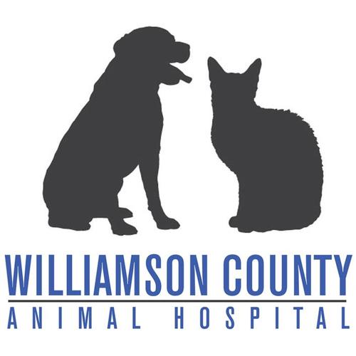 Williamson County Animal Hospital is a full-service veterinary hospital. Located in Franklin, TN, we have been caring for the pets of this community since 1975.