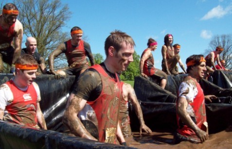 Addicted to Adrenaline Races!