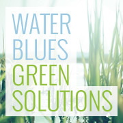 H2Oblues's profile picture. Interactive public service media project, produced by Penn State Public Media, about using nature to manage water.