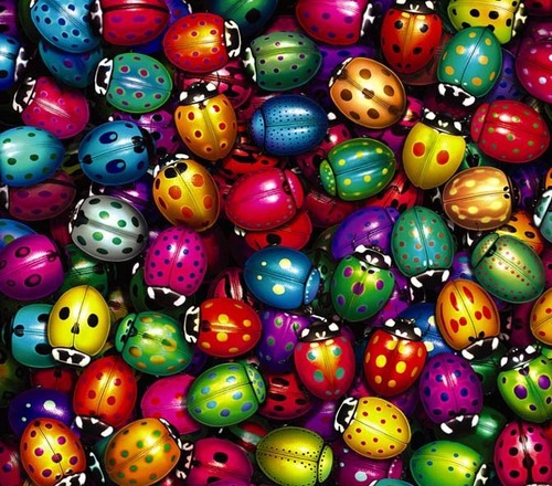 SocialBugMarket's profile picture. I am 25 year old entrepreneur trying to get her company out into the world. Looking for social media services please check us out!