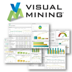 VisualMining Profile Picture