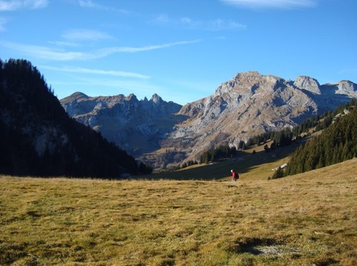 TSushko's profile picture. 