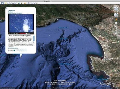 Travel to new depths with Ocean in Google Earth.