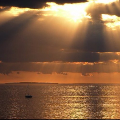 EveryQuoteDaily's profile picture. Just inspiring people to move forward, succeed and be happy everyday. One smile can change your day. Follow for quotes that will brighten up your day.