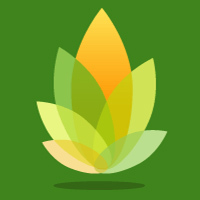 NewlifeWell's profile picture. Diem Nguyen, DC is an expert in using functional medicine to manage lifestyle diseases such as diabetes and hypothyroidism.