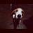 BrandoTeatro's profile image