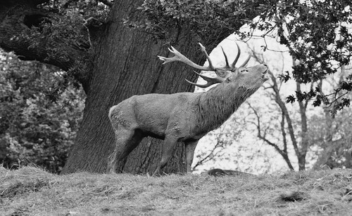 smithers301962's profile picture. Colne born and bred. Claret blooded with one eye on the Blaugrana. Golfing hacker and real ale slurper. UTC