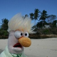 Dr Josie Golding (@beakerh) 's Twitter Profile Photo Dr Josie Golding (@beakerh) 's Twitter Profile Photo