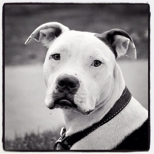 oded555's profile picture. 