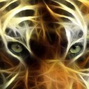 brandon easley - @brandon_easley - Twitter